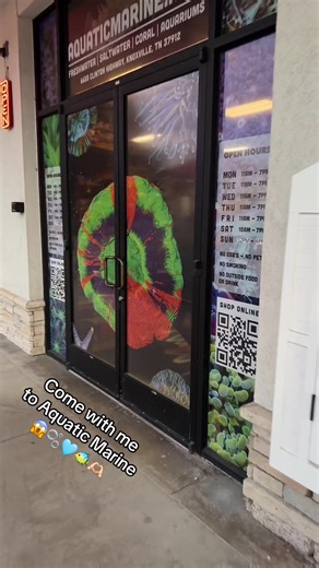Come with me to Aquatic Marine in Knoxville Tennessee! Featuring Maxwell my aussiedoodle. I picked up some Java fern, Anubis, Amazon Sword, Seachem Reef Glue, a new AquaTop Breza Fusion Air Pump and a big piece of Driftwood all for the Goldie’s 75 gallon tank. Reveal coming soon. Stay tuned 👀🫶🏻 #comewithme #roadtrip #fishtok #aquarium #fyp