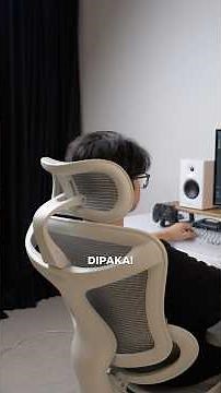 Indonesia's Favorite Ergo Chair? - Sihoo Doro C300 Review