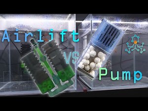 Airlift (sponge) Filter vs. Pump