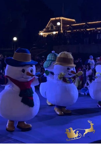 Disneyland Experience Highlights