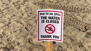 'Catastrophic' California oil spill kills fish, damages wetlands