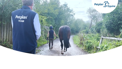 Ever wondered what a pre-purchase vetting actually includes and what It can tell you about a horse you are considering purchasing? Here, Petplan Equine veterinary expert Gil Riley explains the two different vetting’s to choose from and what they entail. 🩺 | Petplan Equine