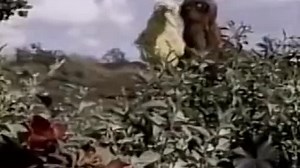 Sesame Street - Episode 1093 (January 18, 1978)