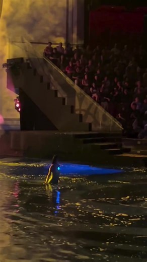 Magical Moments from the House of Dancing Water