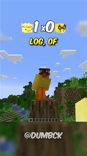 Which Block Is the HEAVIEST in Minecraft? ⛏️ #shorts