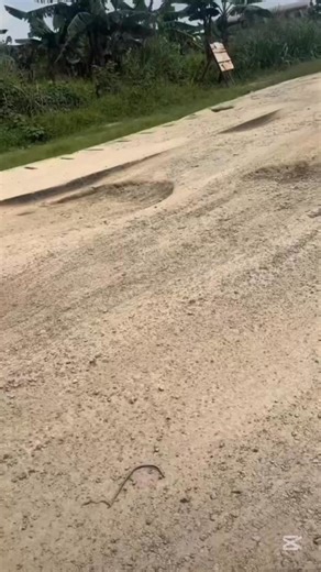 Cameroon the construction of the olembe stadium abandoned to itself and is at the stage of collapsing 🥹 | The Global lens