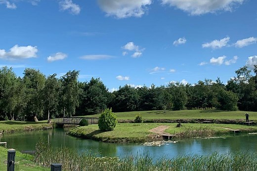 Kingroyal Giriş Portalı — Kingroyal Mart 2026 Bağlantısı