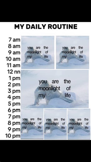 Wisp’s Cover of Last Night on Earth