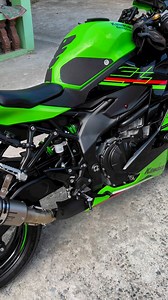 Cold start #zx4rr | Thorvic Motovlog