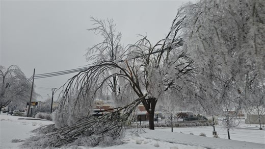 ‘Complete devastation,’ Oxford, MS mayor says after winter storm