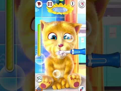 Talking Ginger Gameplay