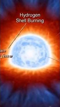 What if the sun Fuses all its hydrogen?