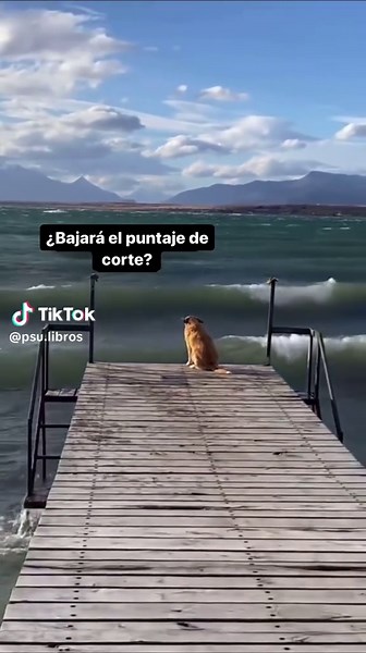 Todo sobre PAES 2024: Puntajes y Modelos Atómicos