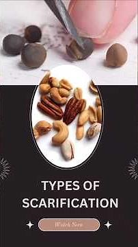 Sacrification| Seed Treatment methods| ‪@AgriClarity‬