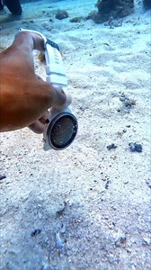 439K views · 2.1K reactions | Found dive computer #keepdiving #adventuredive #oceanlife #scubadiving #underwaterworld | Long Journey | Facebook