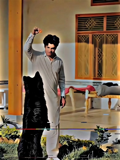 Record 💀🔥##EditingSkills #ViralVideo #TikTokEdits #NewPost #VisualArt@Zahid-sami_804 @Zahid_sami 804 @Waheed_durrani_302