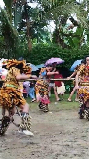 Randu Alas#gedruk #shorts #magelang