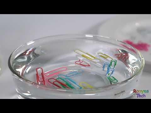 How to Float a Paperclip On Water? - Simple Science Experiments for Kids