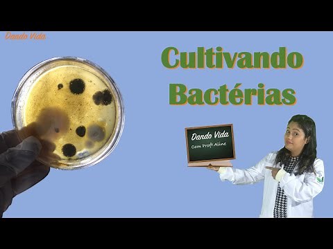 Cultivando Bactérias
