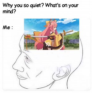 EMIYA's Unlimited Meme Works on Reels