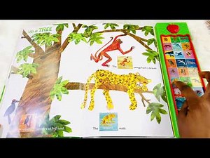 Kids Book Read Aloud: Hear Bear Roar Sound Book| Kids Sound Book| Kids Story Time| Animal Sounds