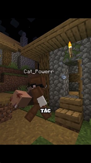 Đây là một mod giúp thế giới của bạn dak bum lmao hơn trong Minecraft