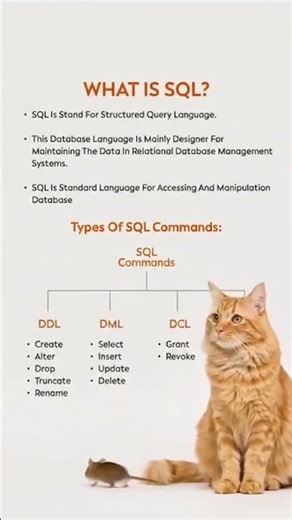 SQL in 20 sec 🔥 (DDL, DML, DCL + TCL)#shorts