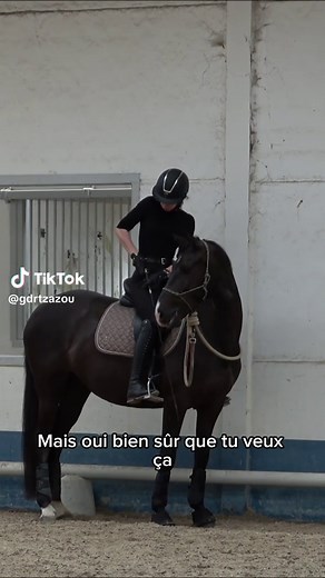 Dressage and Horsemanship Basics with Cordelette