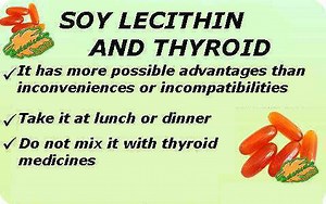 Is soy lecithin bad for your thyroid? [2025] | QAQooking.wiki