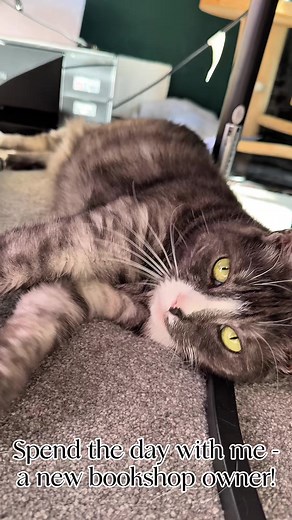 Come with me to run my bookshop for a day :) #booktok #book #bookshop #bookshopowner #businessowner #scotland #dayinmylife #vlog