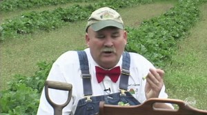 Farmer Lee Jones: Spring Produce