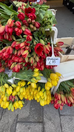 Hello spring #spring #flowers