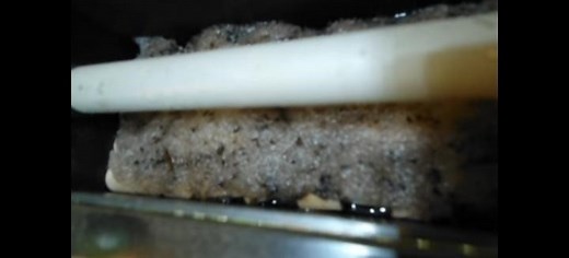 What Are the Little Black Worms in Pond Filters? {What You Need to Do}