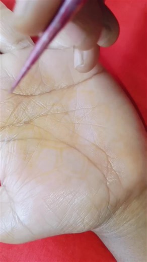 Stunning Mehandi Design Ideas for Your Next Event