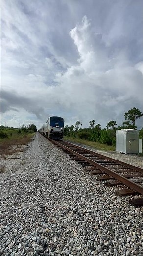 Amtrak SIlver Meteor Approaching At Full Speed