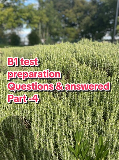 B1 Test Preparation: Questions About Family