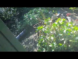 girls gone wild crazy tweaker wet t-shirt contest II