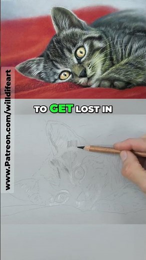 pastel pencil animals lesson | JasonMorgan.co.uk