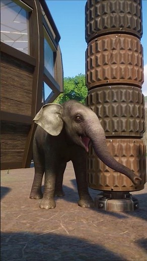 This Baby Indian Elephant Playing MELTED Me 🐘✨ | Planet Zoo
