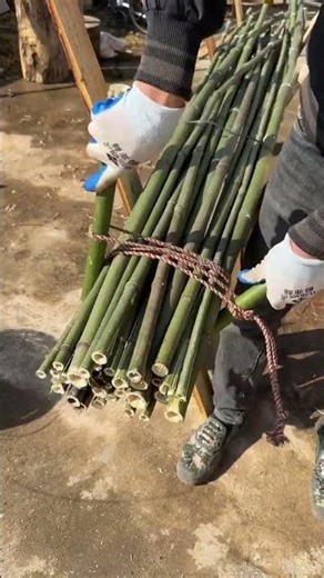 Practical bundling techniques #Small tricks have great effects#fbfd7