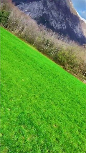 Very windy day #fpv #drones #dronevideo #fpvdrones #fpvlife #fpvdrone #dji #shootondji #djineo2