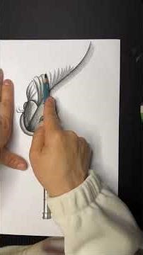 Easy Drawing Fish With Pencil Step by Step For Beginners