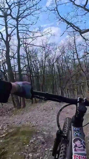 Trail Ho-Chi-Minh fail