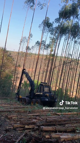 Conforto na Operação do Harvester Cobra Ponsse