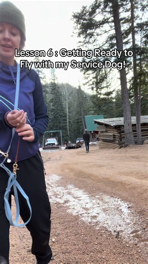 Preparing to Fly with My Service Dog: Essential Tips