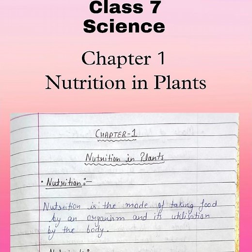 Class 7 Science Chapter 1 Nutrition in Plants Notes