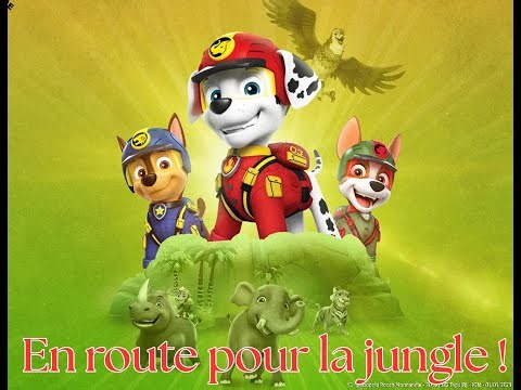 En route pour la jungle !