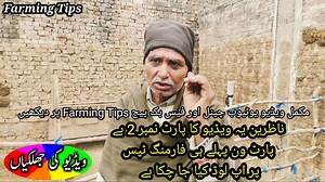 409K views · 6.2K reactions | How to increase dairy animal milk to ten times | Farming Tips | Facebook