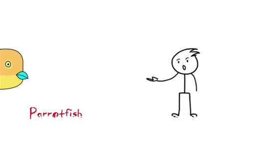 Exploring Parrotfish: Nature's Colorful Reef Dwellers