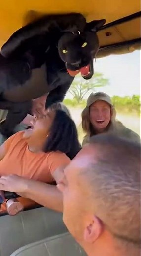 terrifying to hilarious in seconds 😳😂